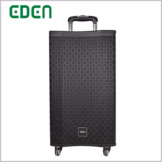 Qqchinapa WiFi inalámbrico Bluetooth activo en pared techo bocina PA Audio columna altavoz
