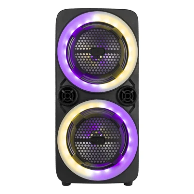 Woofer de 8 pulgadas con Tweeter 100W 12V Altavoces recargables Bluetooth Altavoces portátiles inalámbricos con atractiva luz LED